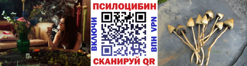 Купить  Стерлитамак  Псилоцибиновые грибы Magic Shrooms 